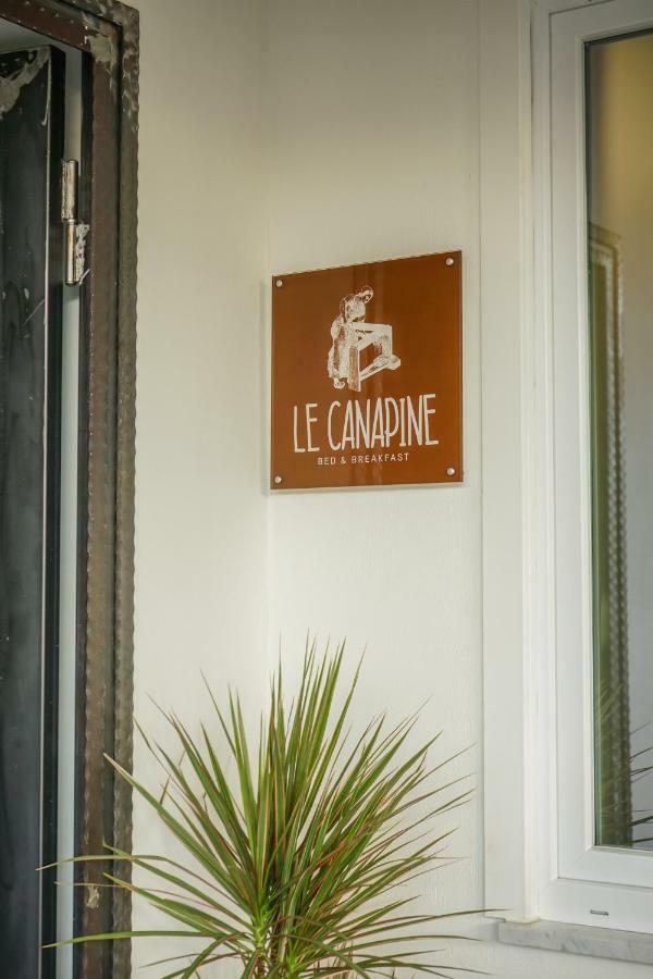 B&B Le Canapine Frattamaggiore Exterior photo